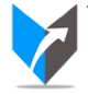 Virtue Advisors